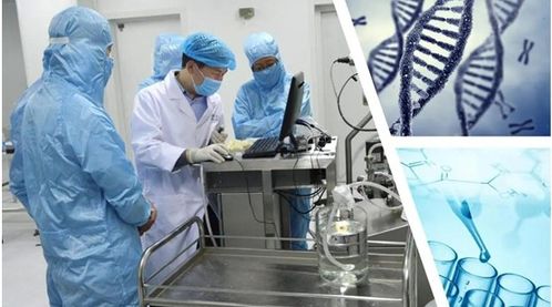 2020年中国生物医药产业创新大会将在宝山召开