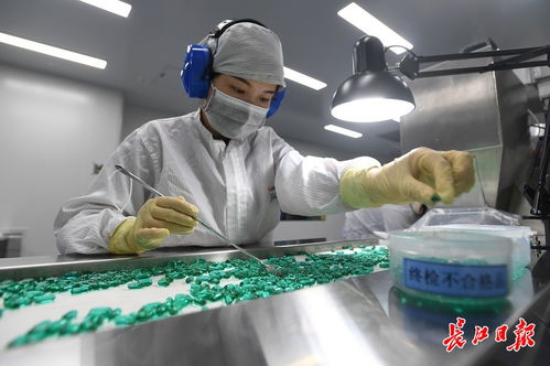 18条政策措施重磅出炉 武汉加速打造万亿生物医药产业集群
